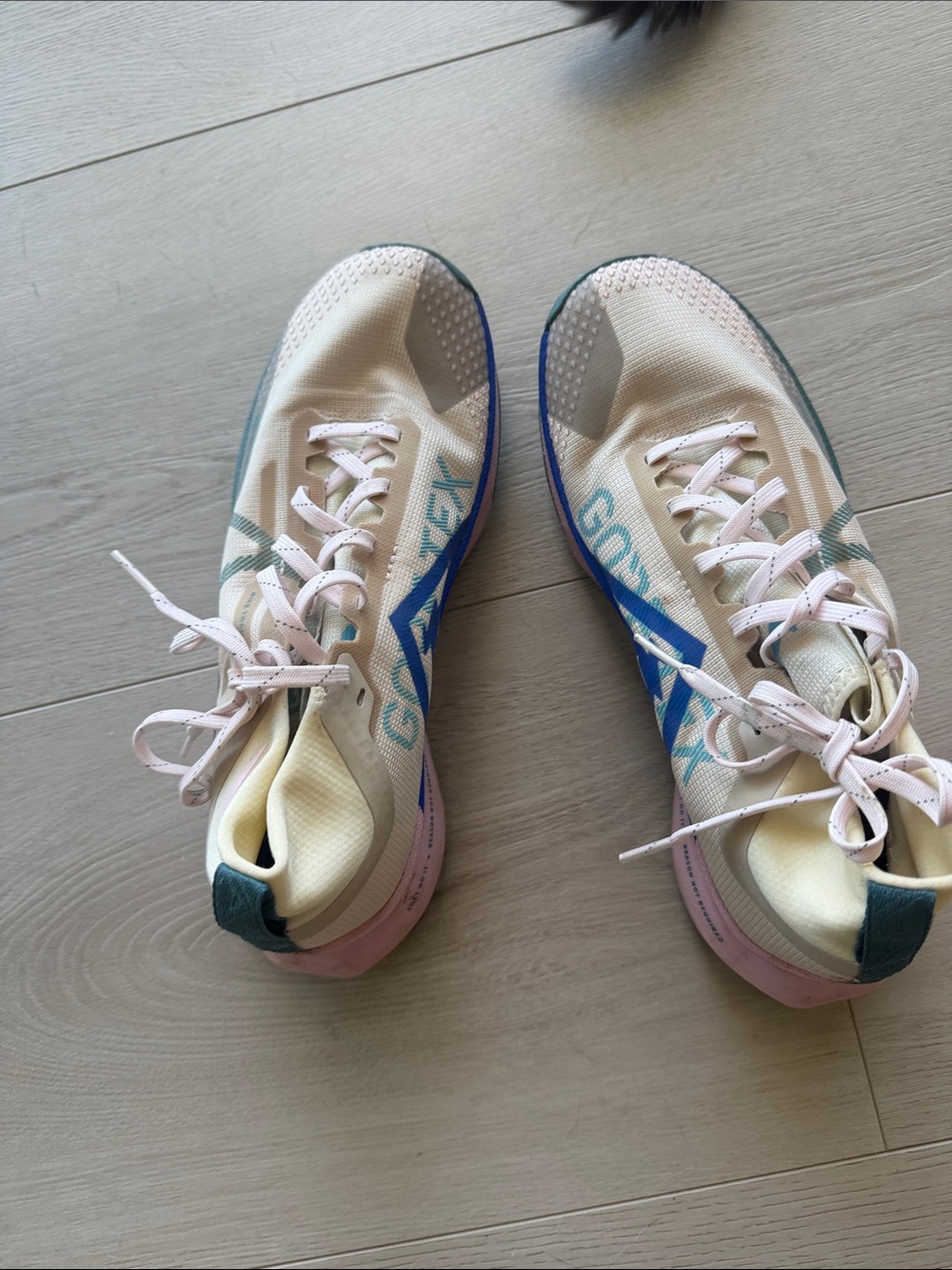 Nike Women's Gortex Pastel Pink and Blue Running Shoes